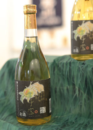 umeshu-equipotel-2012-m