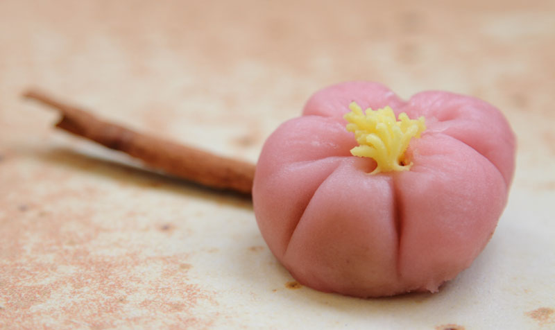 nerikiri-ume-g