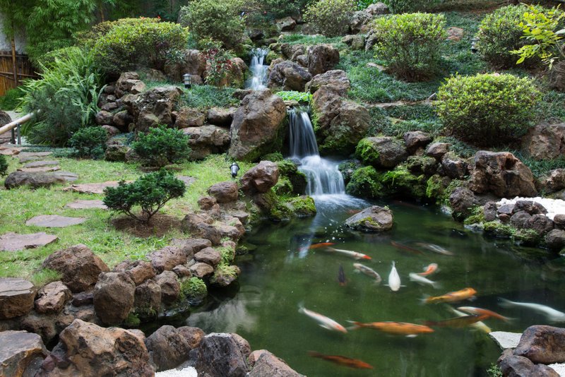 O jardim japonês pode ser visto dos salões principais Shintori_jardimjapones