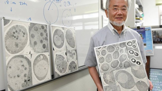 Foto: Akiko Matsushita/AP