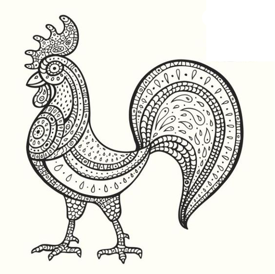 anodogalo
