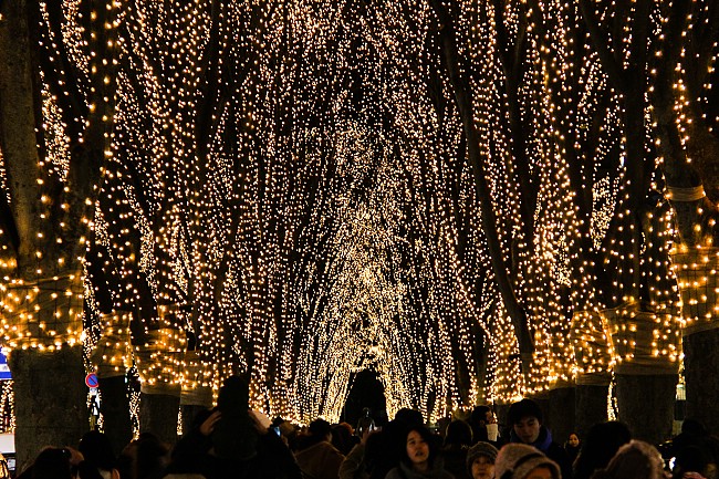 sendai-ilumination