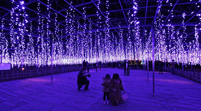 Festival de Luzes no parque botânico de Ashikaga