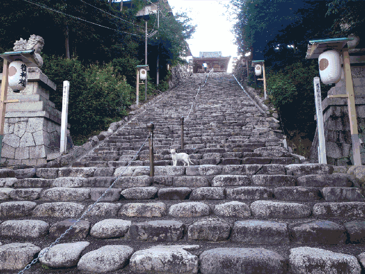 escadaria everfilter
