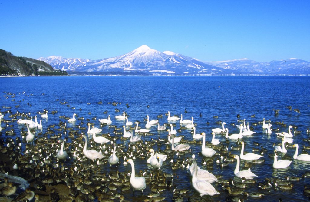 Inawashiro